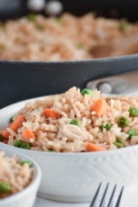 Quick & Easy Chicken Fried Rice