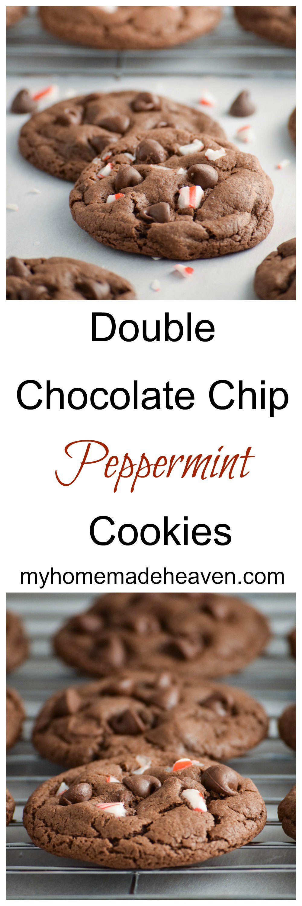 Double Chocolate Chip Peppermint Cookies - My Homemade Heaven