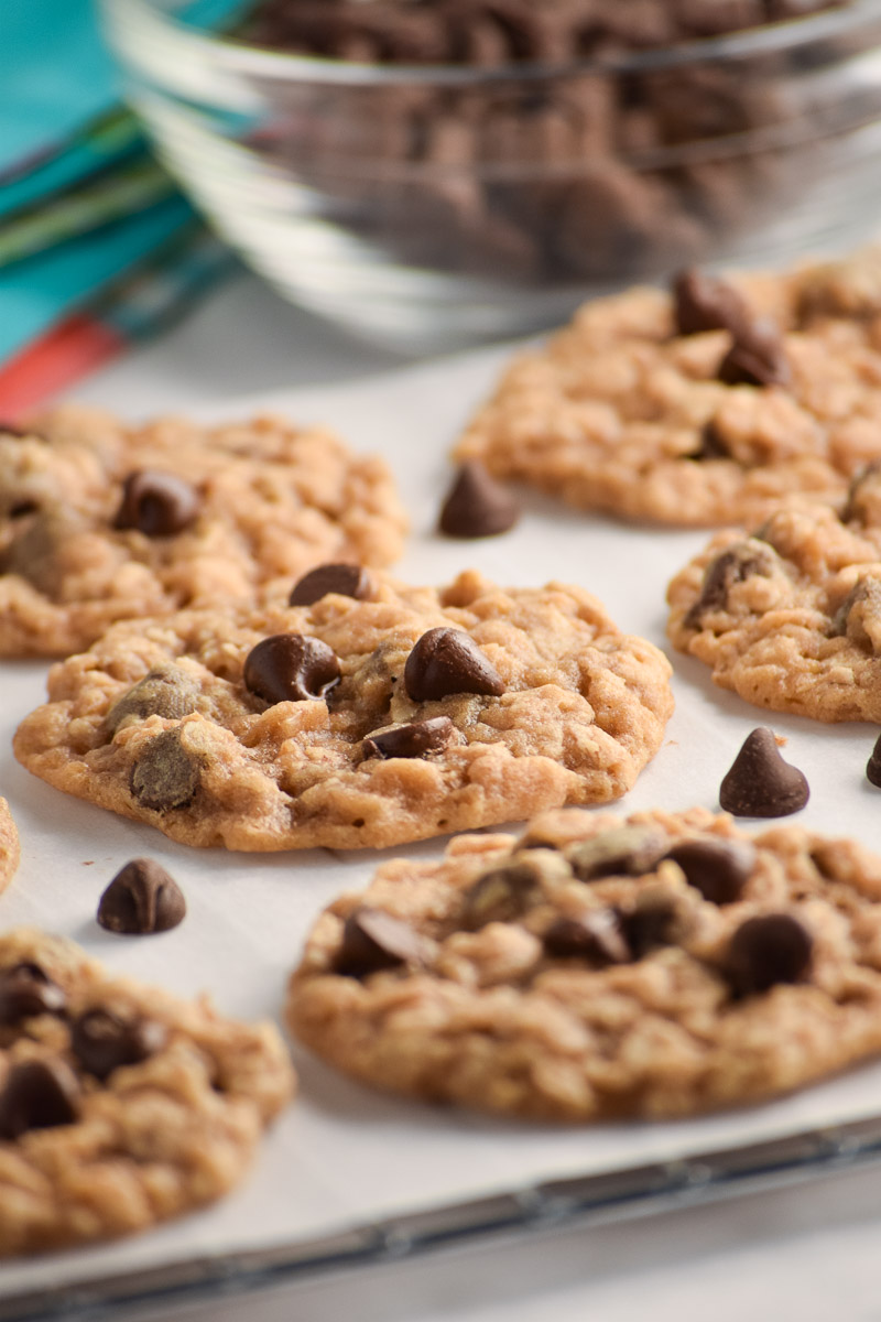 Chewy Oatmeal Chocolate Chip Cookies - My Homemade Heaven