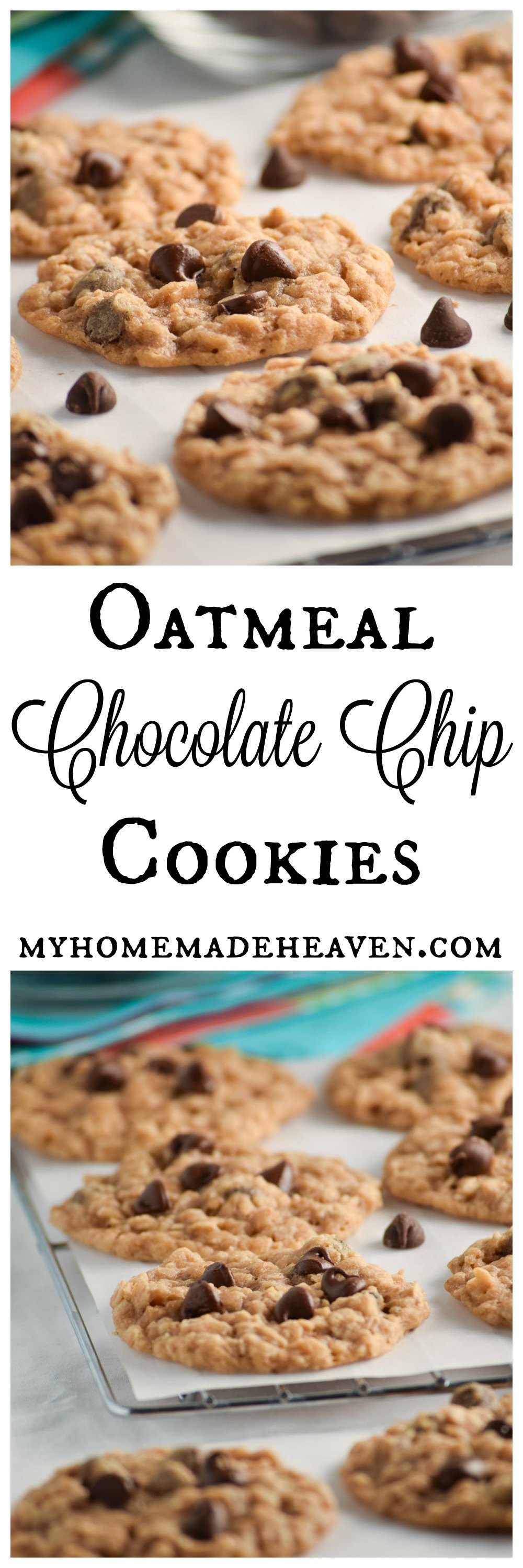 Chewy Oatmeal Chocolate Chip Cookies - My Homemade Heaven